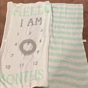 Baby monthly photo shoot